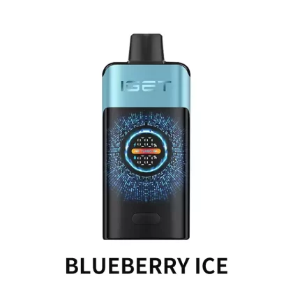 IGET ONE 12000 Puffs – Blueberry Ice - Ozvapeone (6A78E5)