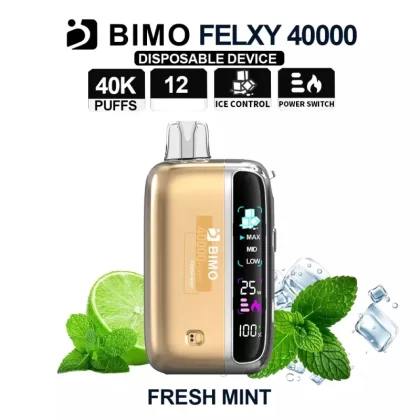 BIMO Felxy 40000 Kit – Fresh Mint - Vape Store