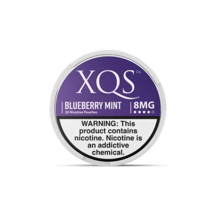XQS Nicotine Pouch Blueberry Mint (20 Count) - 8MG