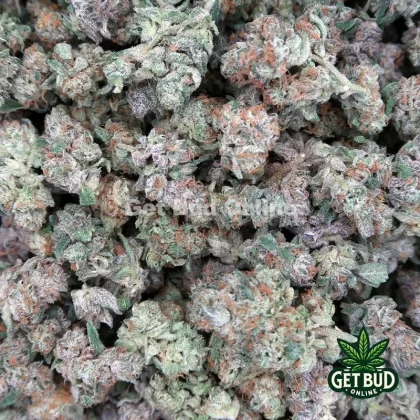 Pop Rox ? (Top Shelf Small Buds) ? Ounce Deal ?