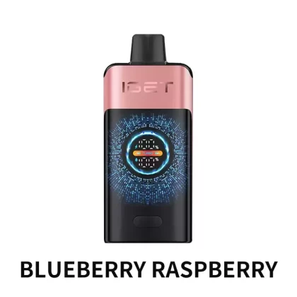 IGET ONE 12000 Puffs – Blueberry Raspberry - Vape Store