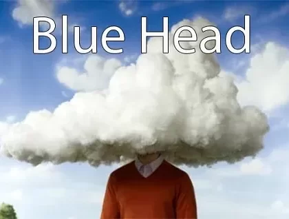 Blue Head Premium E-Liquid