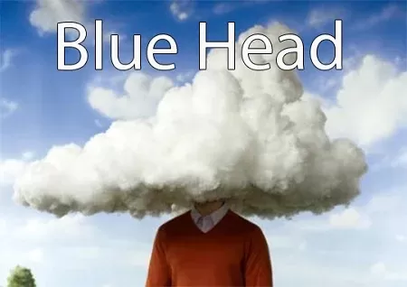 Blue Head Premium E-Liquid