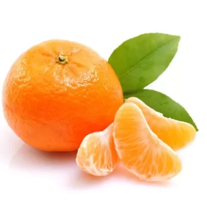 The Flavor Apprentice – Orange Mandarin 15mL - Vapecraftinc