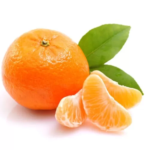 The Flavor Apprentice – Orange Mandarin 15mL - Vapecraftinc