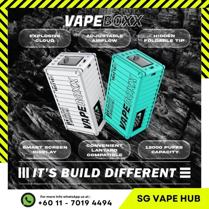 VAPEBOXX 12,000 Puffs - Strawberry Ice Cream - Image 3