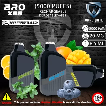 BRO X08 RECHARGEABLE DISPOSABLE VAPES (5000 PUFFS) - 20 mg / Secret
