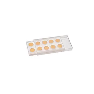 PELCO® Gold Coated AFM/STM Metal Specimen Discs - Image 2