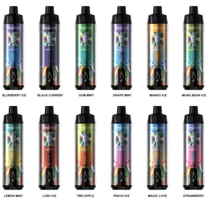 Last Love 20000 Puffs Rechargeable Disposable Kit (EURO2024) - Grape Mint