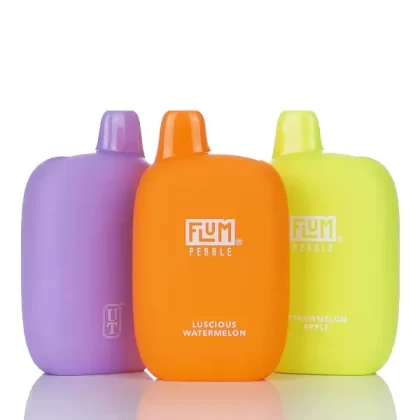 Flum Pebble 6000 Puffs Disposable Vape - 14ML - Berrymelon Icy