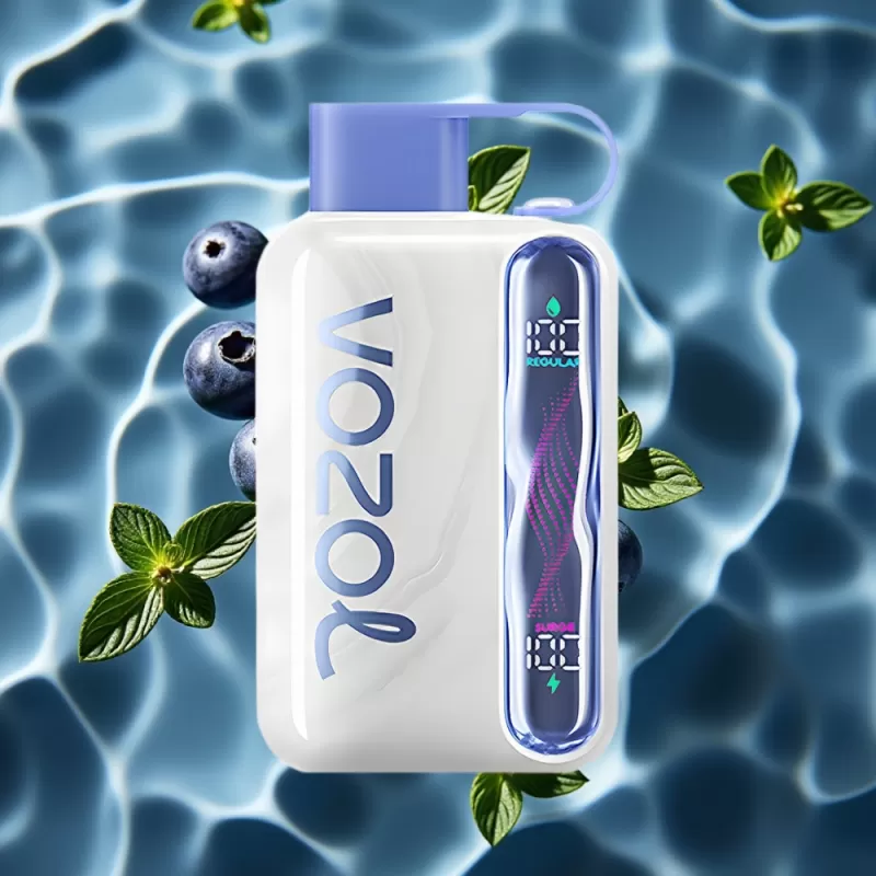 VOZOL STAR 40000 Puffs Disposable Vape Blueberry Mint 1000mAh Type-C 20/50mg/ml - Bangvapeaustralia