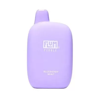 Flum Pebble Blueberry Mint Disposable 6000 Puffs