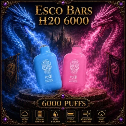 Esco Bars H20 6000 - Vanilla Custard (BLK Series) / Strawberry Milkshake
