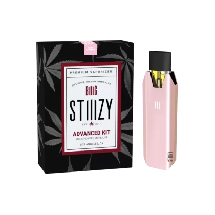 STIIIZY BIIIG Vaporizer Advanced Kit Battery - Green Edition