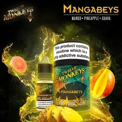 Mangabeys by Twelve Monkeys