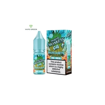 Mangabeys Iced Nic Salt E-Liquid by Twelve Monkeys Salts