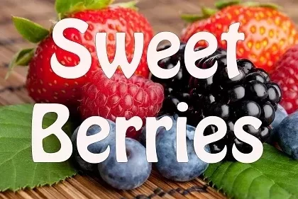 Sweet Berries Premium E-Liquid