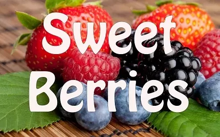 Sweet Berries Premium E-Liquid