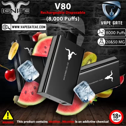 IGNITE - V80 Rechargeable Disposable Vape (8000 Puffs) - 50 mg / Icy Mint