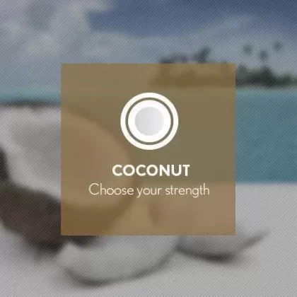 Coconut By Blast E-Liquid 10ml