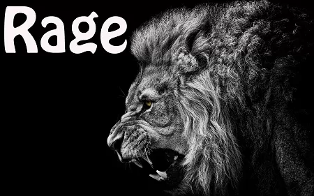 Rage Premium E-Liquid