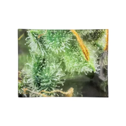 Tricomb Jungle Small Glass Rolling Tray – 6.5in